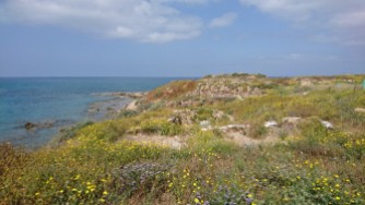 A view from Tel Dor